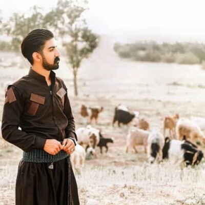 میلاد غلامی منت کیشان نزانم خود چیدنو خود